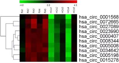 Identification of Circular RNAs Circ_0005008 and Circ_0005198 in Plasma as Novel Biomarkers for New-Onset Rheumatoid Arthritis